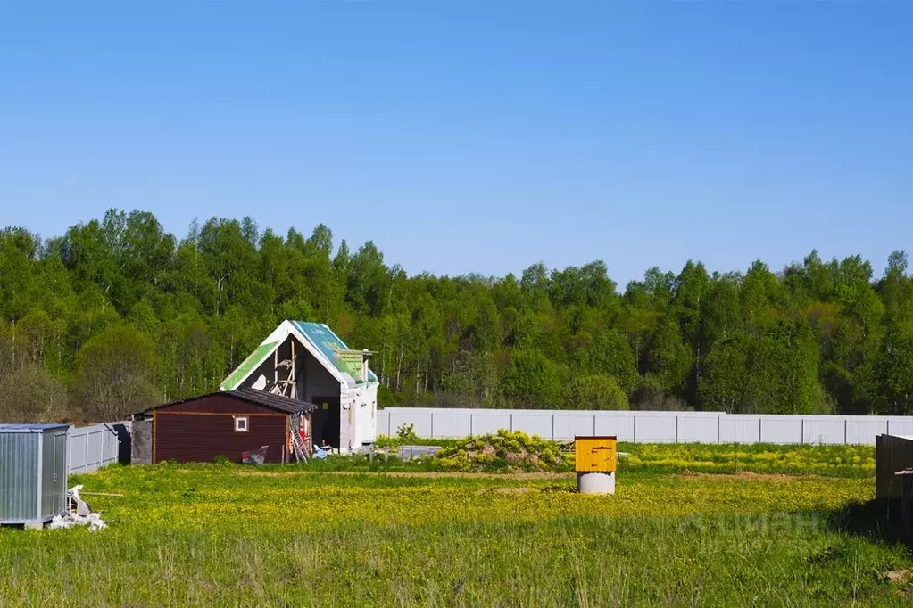 Участок в Московская область, Пушкинский городской округ, Ашукино дп ... - Фото 1