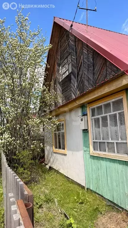 Дом в Тюмень, СНТ Ручеёк, Лесная улица (53.8 м) - Фото 1