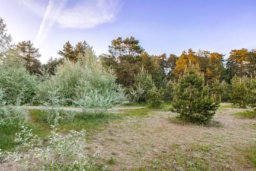 Участок в Московская область, Одинцовский городской округ, д. Раздоры  ... - Фото 2