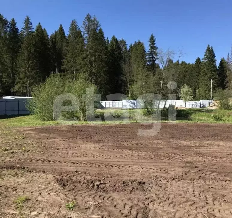 Участок в Пермский край, Пермь Липовая гора мкр, ул. 1-я Липогорская ... - Фото 2