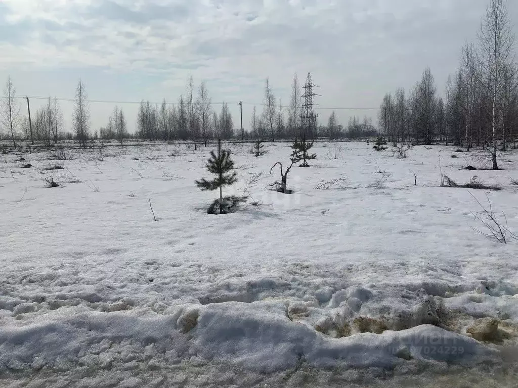 участок в липецкая область, липецкий муниципальный округ, с. подгорное . - Фото 1