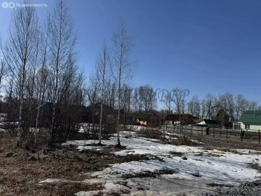 Участок в Майминский район, посёлок Дубровка, улица Сафронова (10 м) - Фото 2