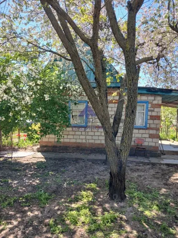 Дом в Ростовская область, Волгодонск Летний Сад СНТ,  (25 м) - Фото 1