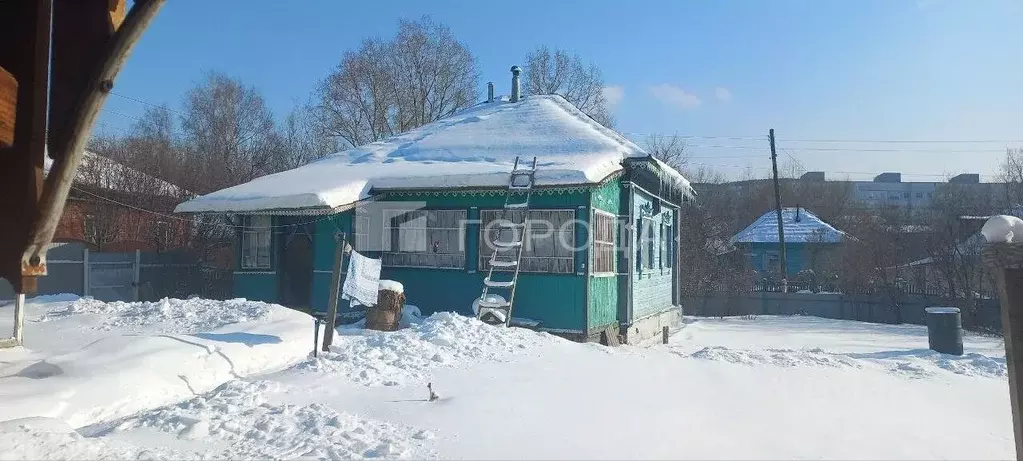 Дом в Алтайский край, Белокуриха Кирпичная ул., 13 (47 м) - Фото 2