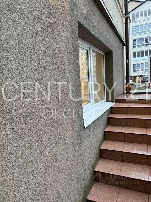 Помещение свободного назначения в Калининградская область, Гурьевский ... - Фото 1