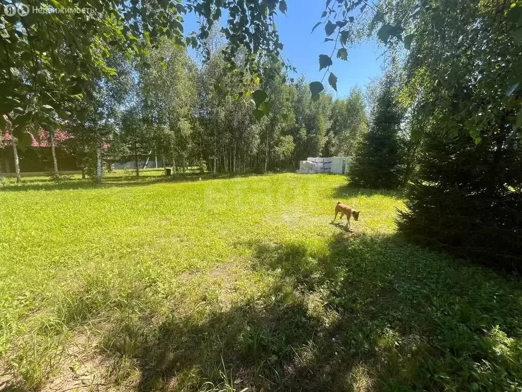 Участок в Тверская область, Калининский муниципальный округ, деревня ... - Фото 2