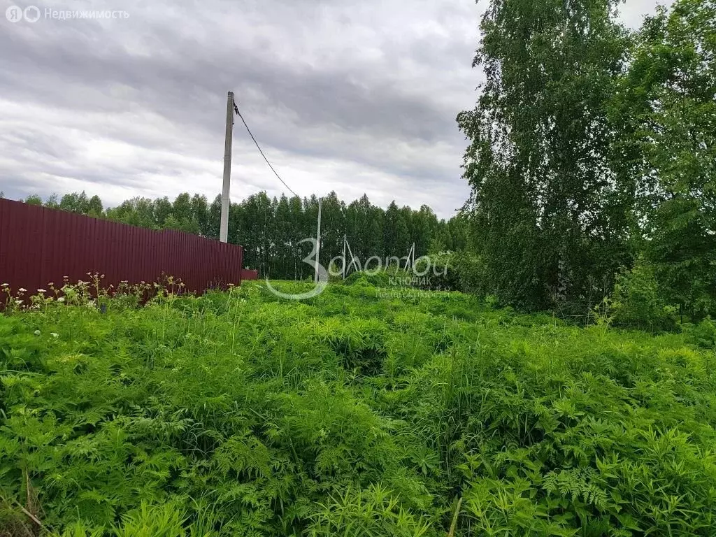 Участок в Нижегородская область, Городецкий муниципальный округ, село ... - Фото 1