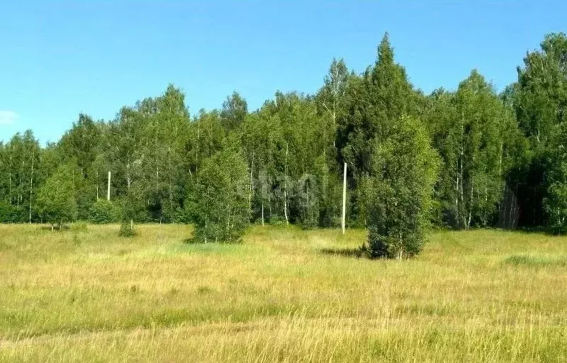 Участок в Калужская область, Калуга городской округ, д. Желыбино 3/1 ... - Фото 0