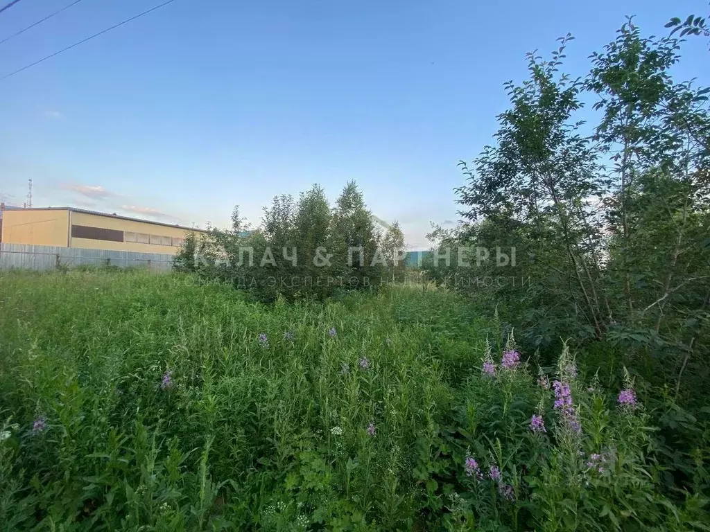 Участок в Свердловская область, Полевской ул. Блюхера, 77 (12.1 сот.) - Фото 2