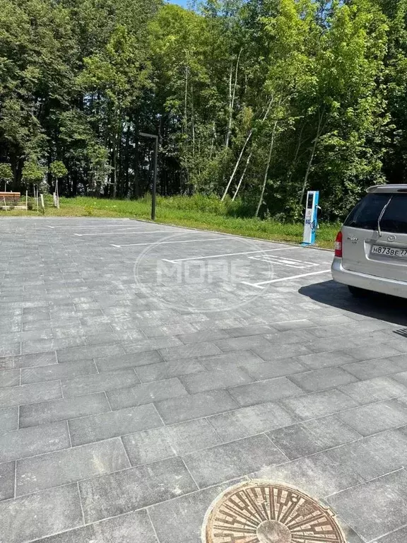 Участок в Калининградская область, Светлогорский городской округ, пос. ... - Фото 0