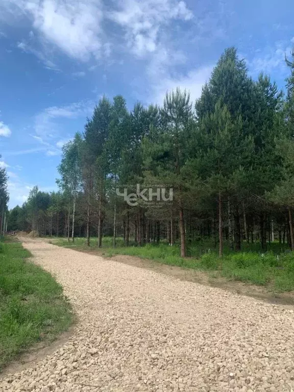 Участок в Нижегородская область, Бор муниципальный округ, с. ... - Фото 2