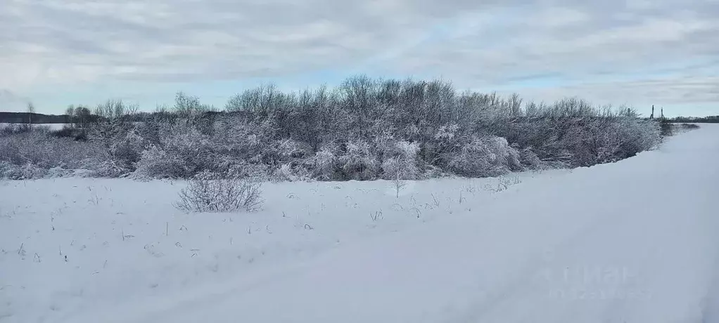 Участок в Новосибирская область, Мошковский район, с. Томилово  ... - Фото 1