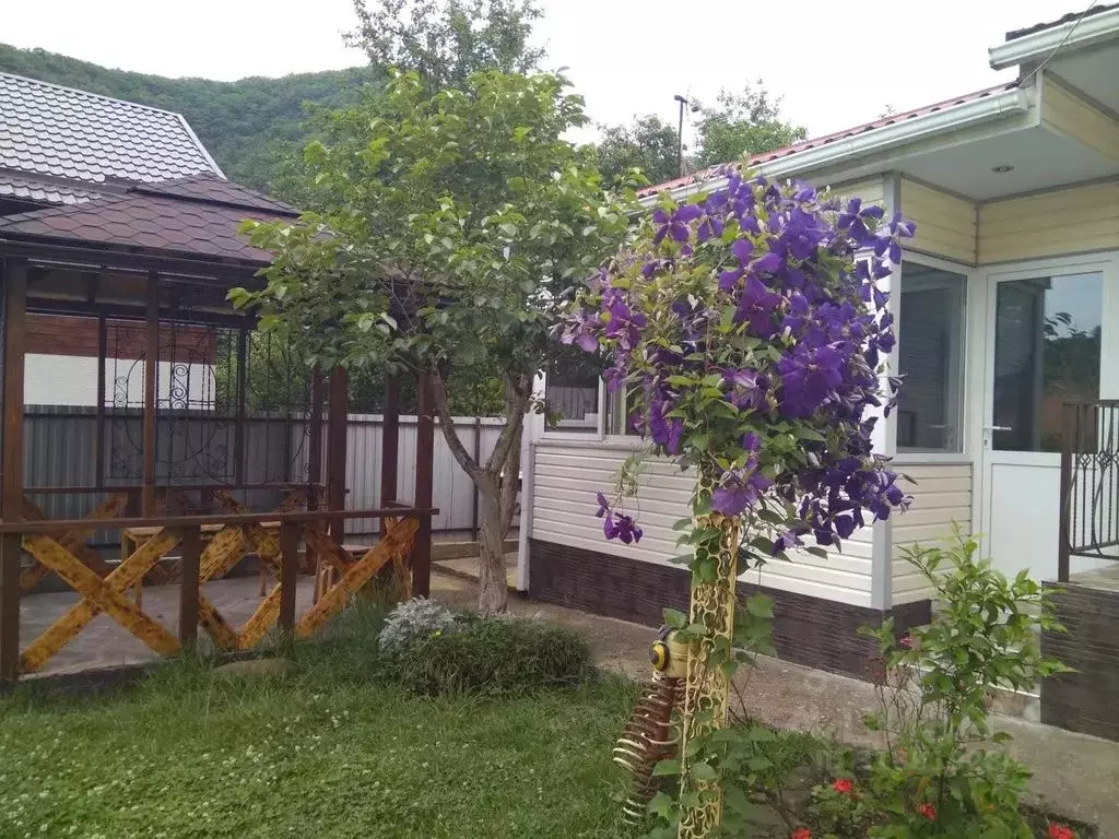 Комната Краснодарский край, Сочи городской округ, с. Каткова Щель ул. ... - Фото 1