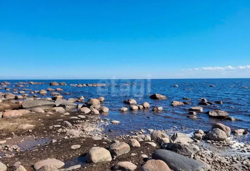 Участок в Санкт-Петербург пос. Молодежное,  (12.0 сот.) - Фото 1