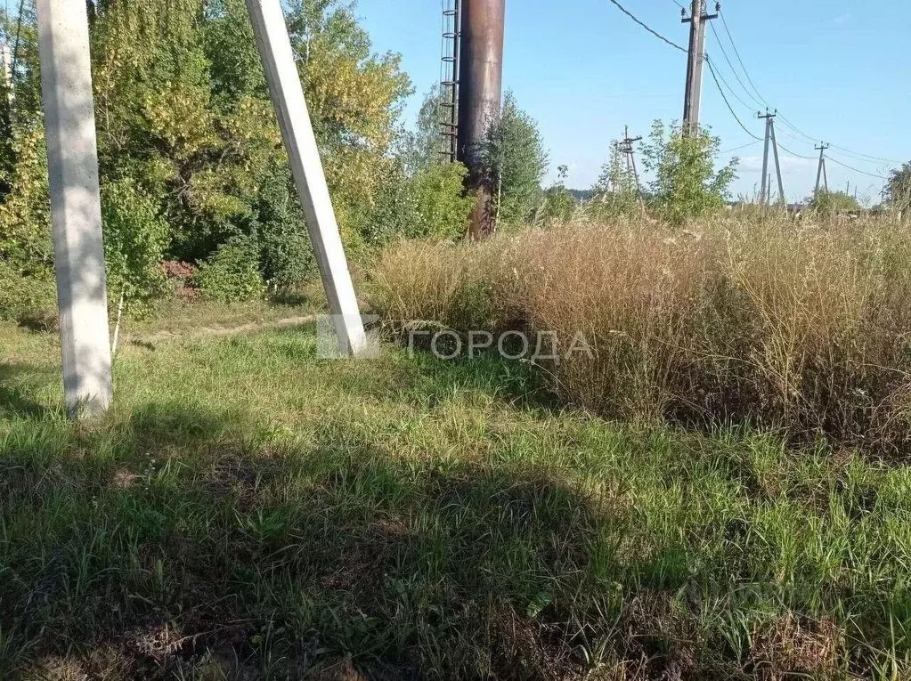Участок в Алтайский край, Первомайский район, с. Санниково, Овощевод ... - Фото 1