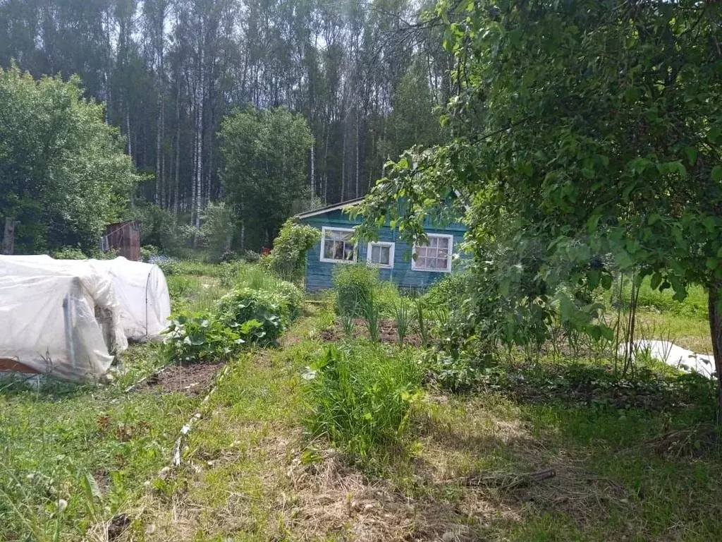 Дача 30 м на участке 5,5 сот. - Фото 1