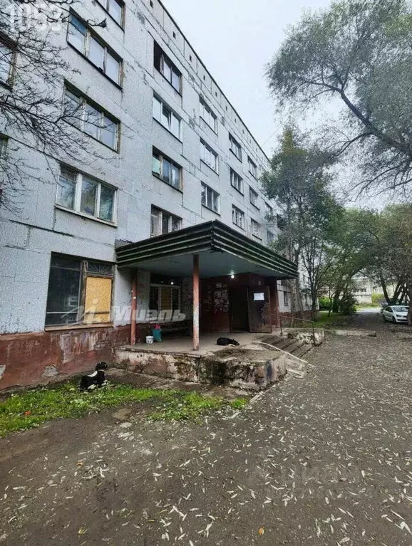 Комната Свердловская область, Нижний Тагил ул. Попова, 23 (11.8 м) - Фото 1