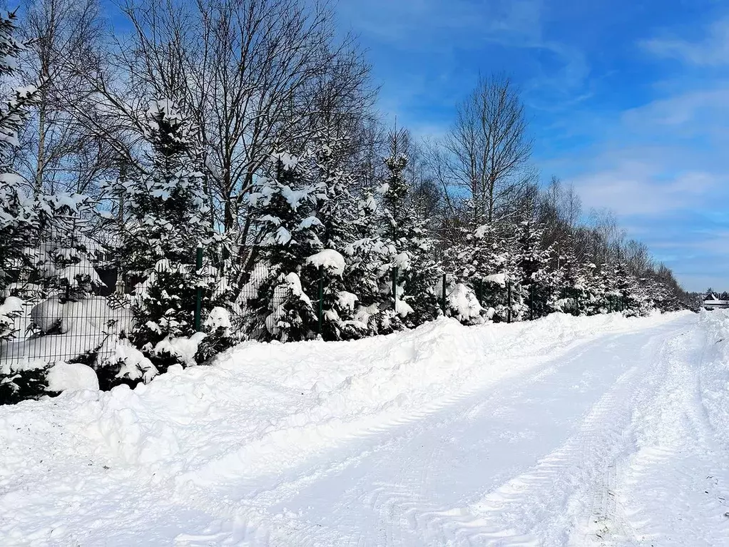 Участок в Московская область, Подольск городской округ, Пузиково кп 81 ... - Фото 2
