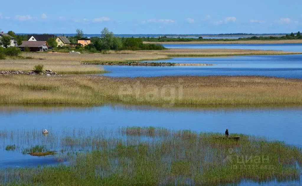 Участок в Псковская область, Печорский муниципальный округ, д. Литовиж ... - Фото 2