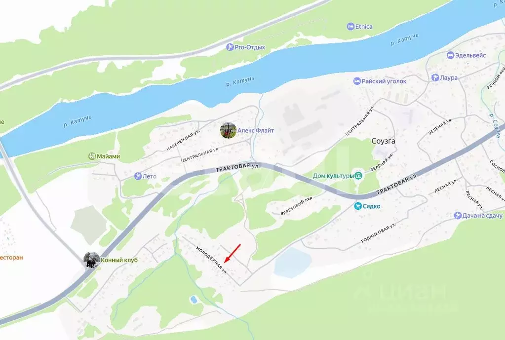 Участок в Алтай, Майминский район, с. Соузга Молодежная ул. (20.98 ... - Фото 1