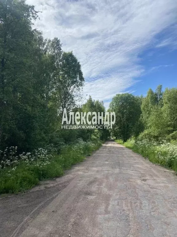 Участок в Ленинградская область, Выборг ул. Безмятежная (26.2 сот.) - Фото 1