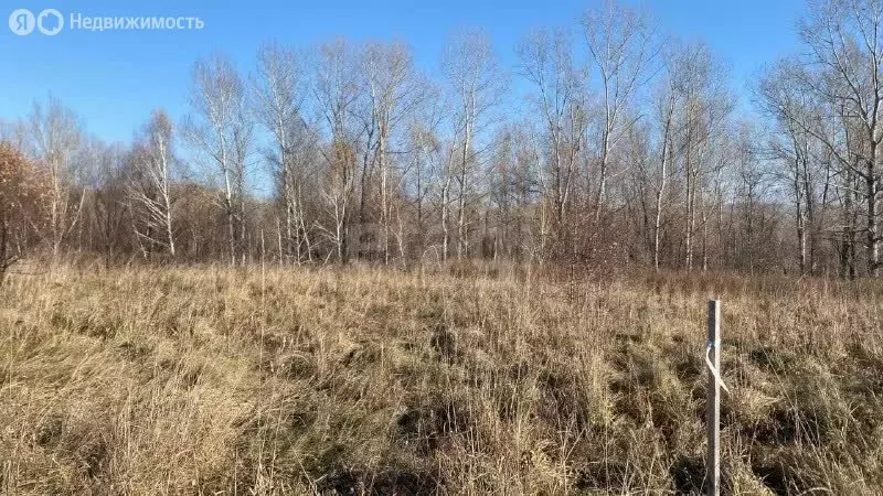 Участок в Майминский район, село Подгорное, улица Прибрежная (20 м) - Фото 1