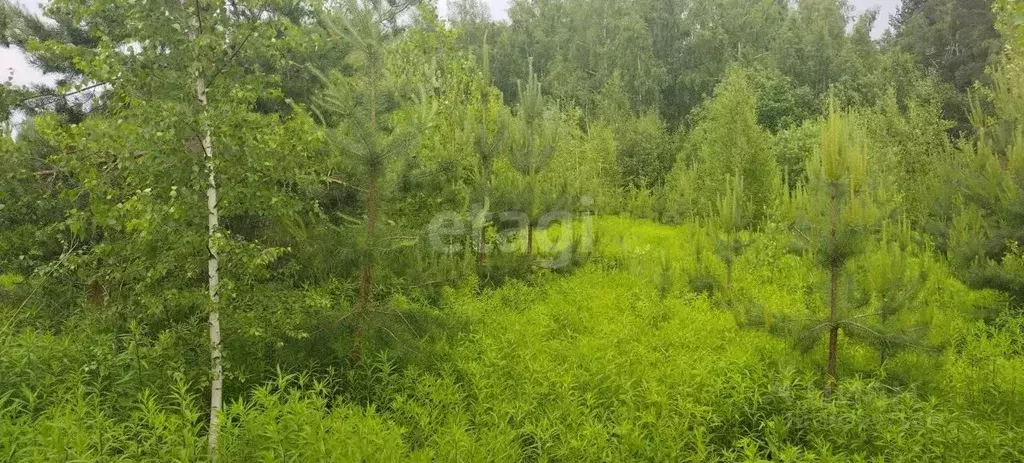 Участок в Нижегородская область, Кстовский муниципальный округ, с. ... - Фото 1