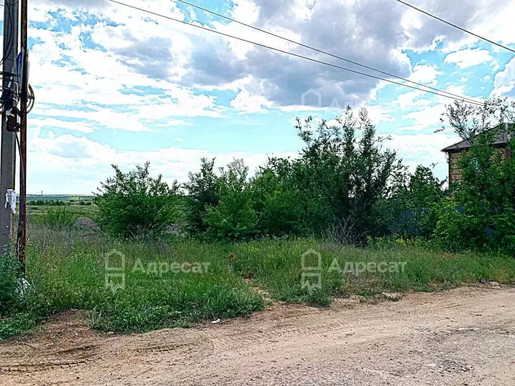 Участок в Волгоградская область, Городищенский район, Царицынское ... - Фото 1