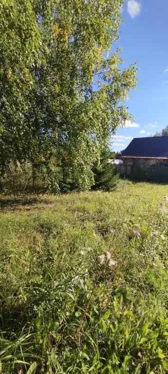 Участок в Пермский край, Пермь пос. Голованово, пер. Клубный (6.0 ... - Фото 1