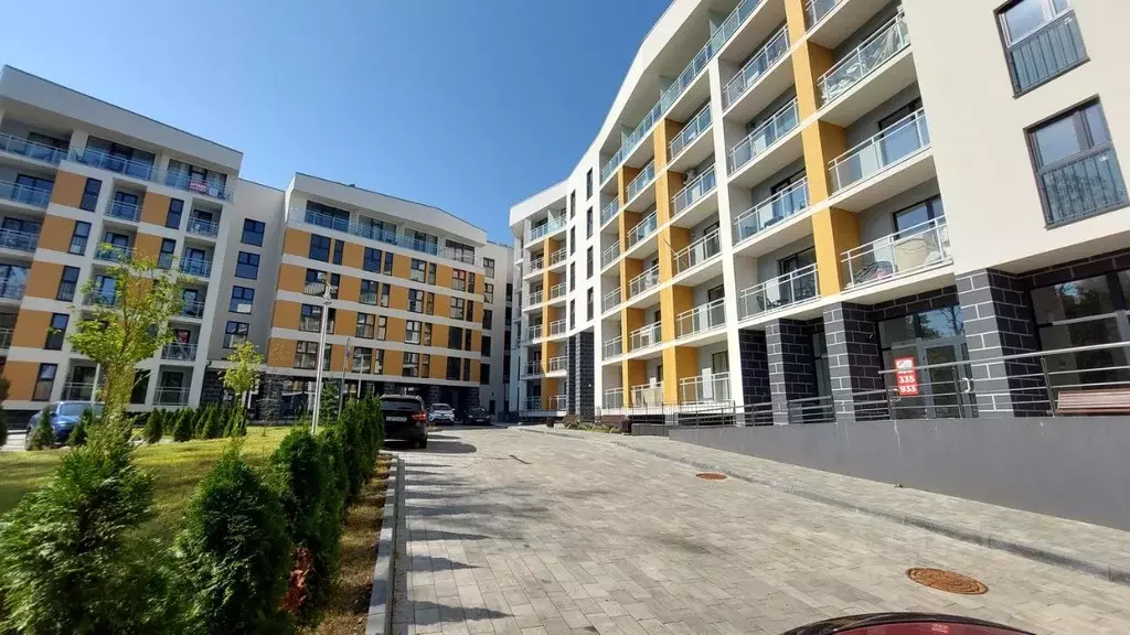 Студия Калининградская область, Светлогорск ул. Кленовая, 2 (37.0 м) - Фото 1