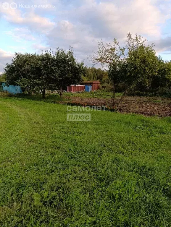 Участок в Медведевский район, Руэмское сельское поселение, СНТ Вишенка ... - Фото 1