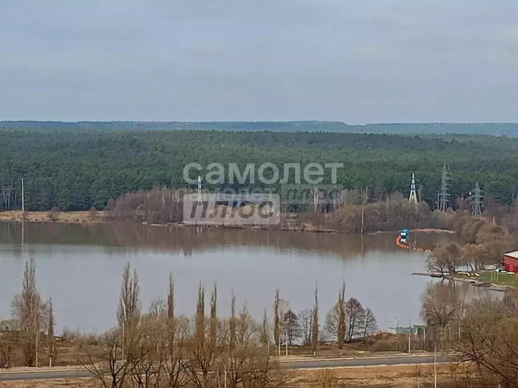 Участок в Калужская область, Калуга пер. 2-й Брусничный (12.61 сот.) - Фото 2