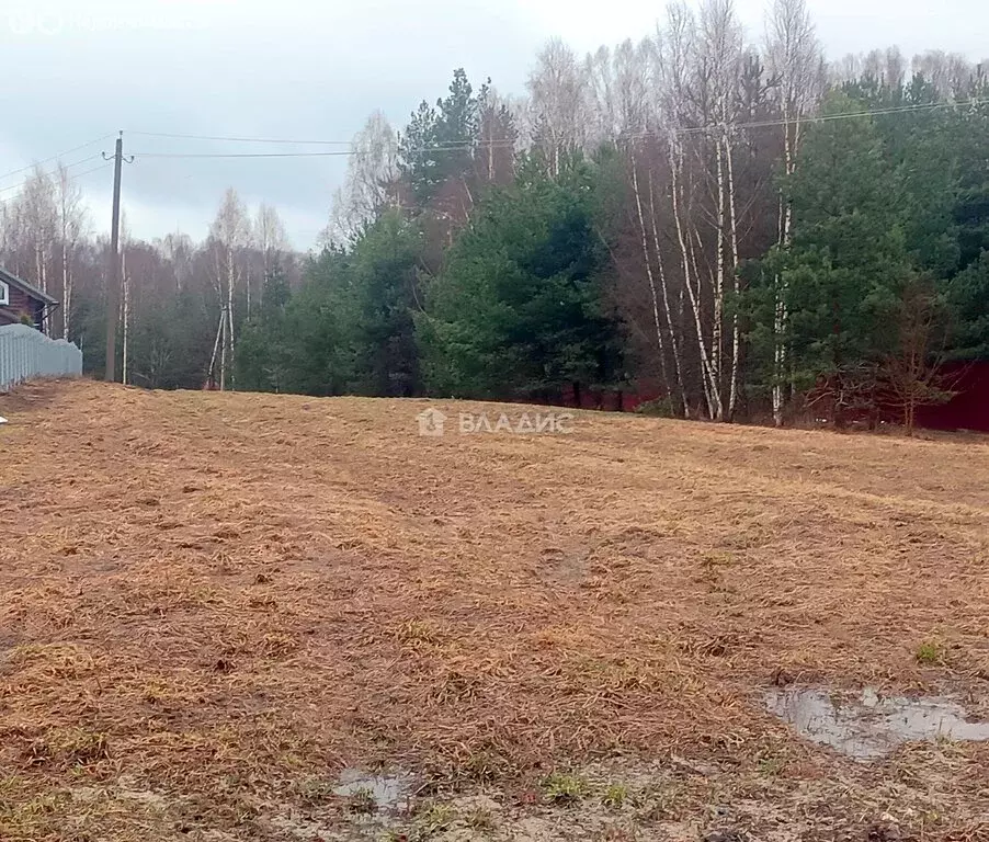 Участок в село Чамерево, Судогодская улица, 2 (9.09 м) - Фото 1