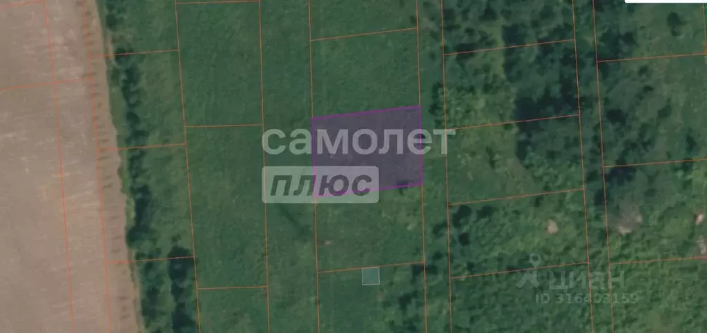 Участок в Сахалинская область, Анивский городской округ, с. Мицулевка  ... - Фото 0