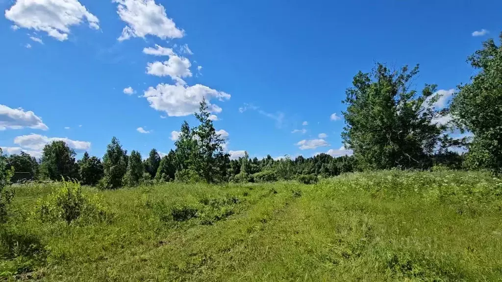 Участок в Новгородская область, Демянский муниципальный округ, д. ... - Фото 1