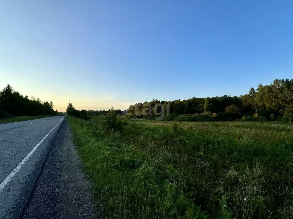 Участок в Московская область, Истра муниципальный округ, д. Бужарово ... - Фото 0