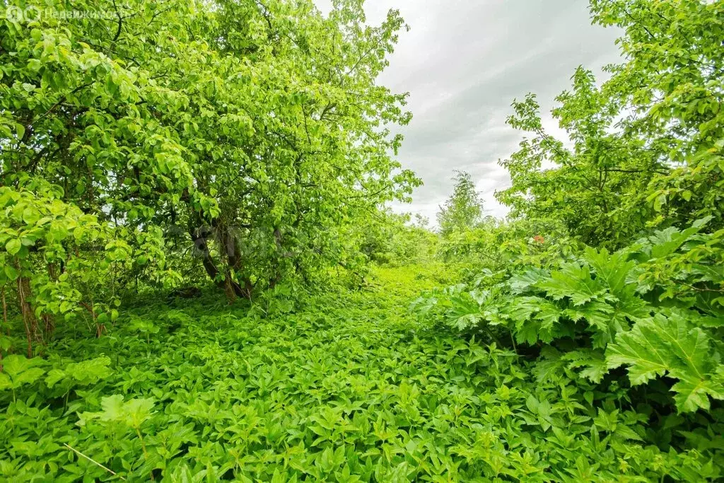 Участок в деревня Любаново, Парковая улица, 32 (15.82 м) - Фото 2