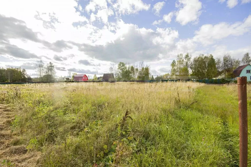 Участок в Калужская область, Боровский муниципальный округ, Совьяки ... - Фото 2