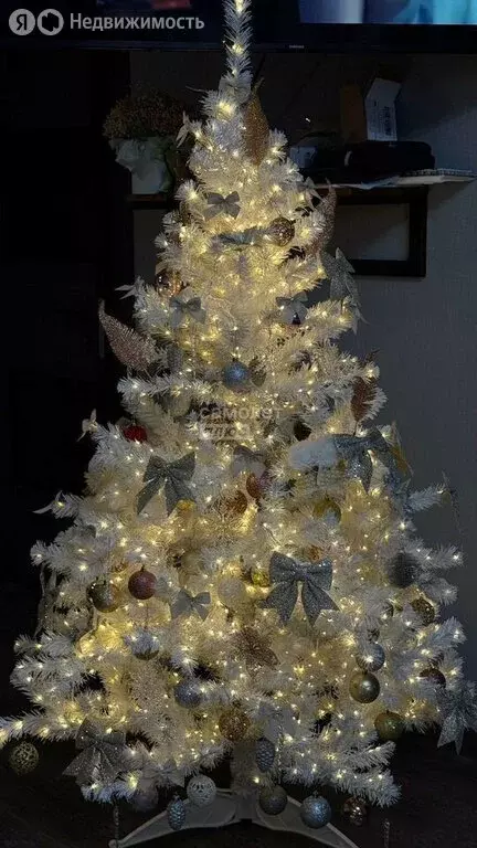 2-комнатная квартира: Миасс, бульвар Карпова, 7 (41 м) - Фото 2