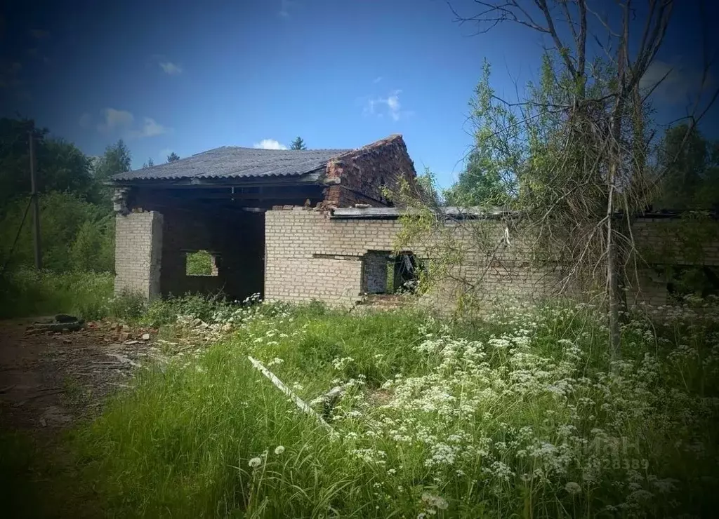 Участок в Новгородская область, Маловишерское городское поселение, д. ... - Фото 1