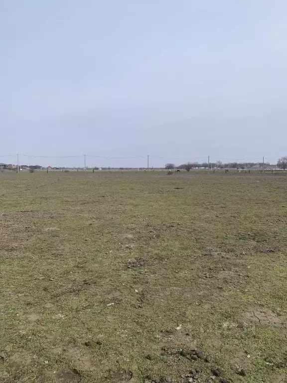 Участок в Волгоградская область, Среднеахтубинский район, Фрунзенское ... - Фото 1