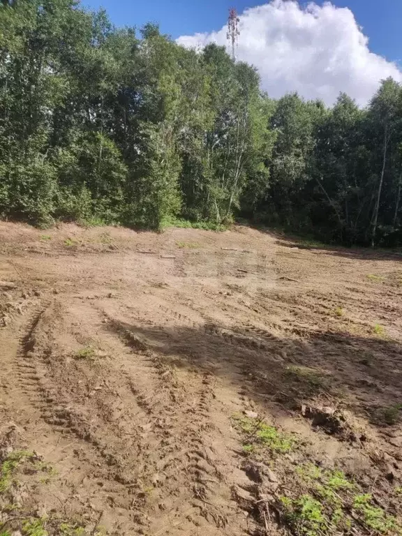 Участок в Ленинградская область, Всеволожский район, Куйвозовское ... - Фото 1