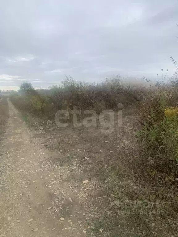 Участок в Адыгея, Майкоп городской округ, Гавердовский хут. ул. ... - Фото 1
