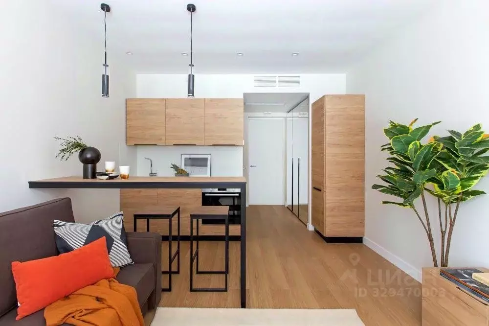 Студия Москва Автозаводская ул., 23Бк2 (22.0 м) - Фото 1