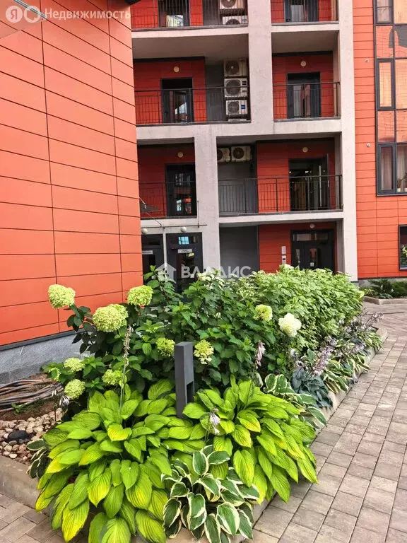 Квартира-студия: Санкт-Петербург, Белоостровская улица, 7 (30 м) - Фото 2