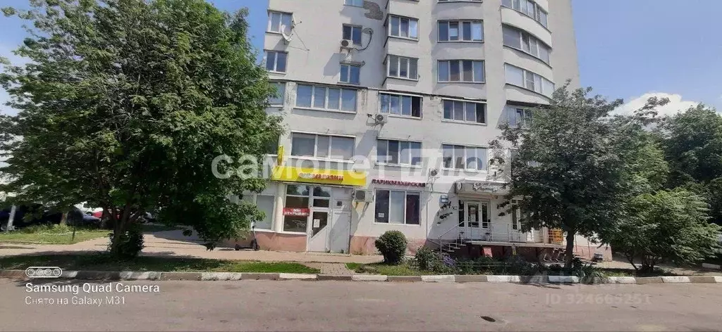 Торговая площадь в Белгородская область, Белгород ул. Челюскинцев, 55а ... - Фото 2