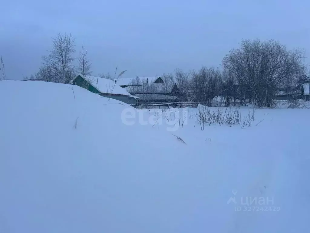 Участок в Ямало-Ненецкий АО, Тарко-Сале Пуровский район, Кедровая ул. ... - Фото 1