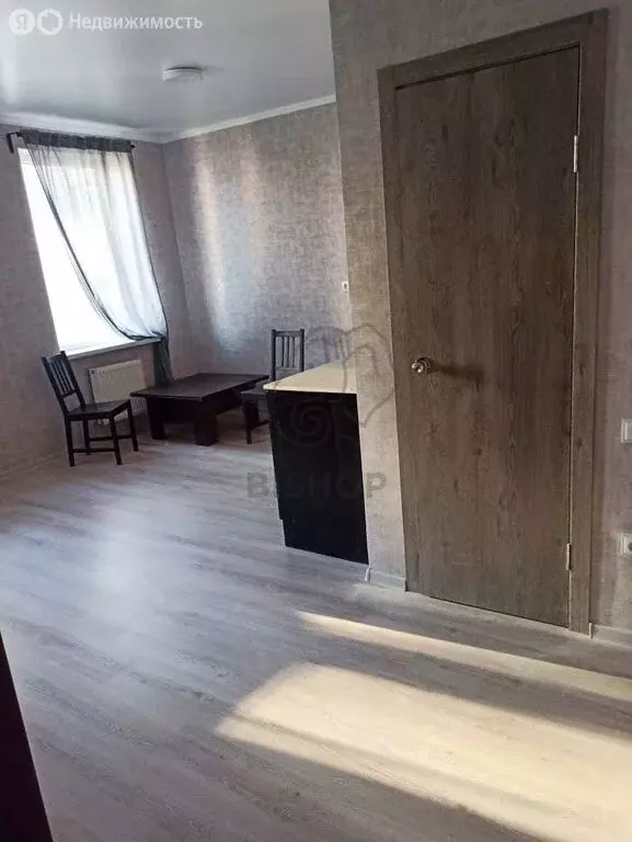 Квартира-студия: Российский, Измаильская улица, 15 (23.6 м) - Фото 1