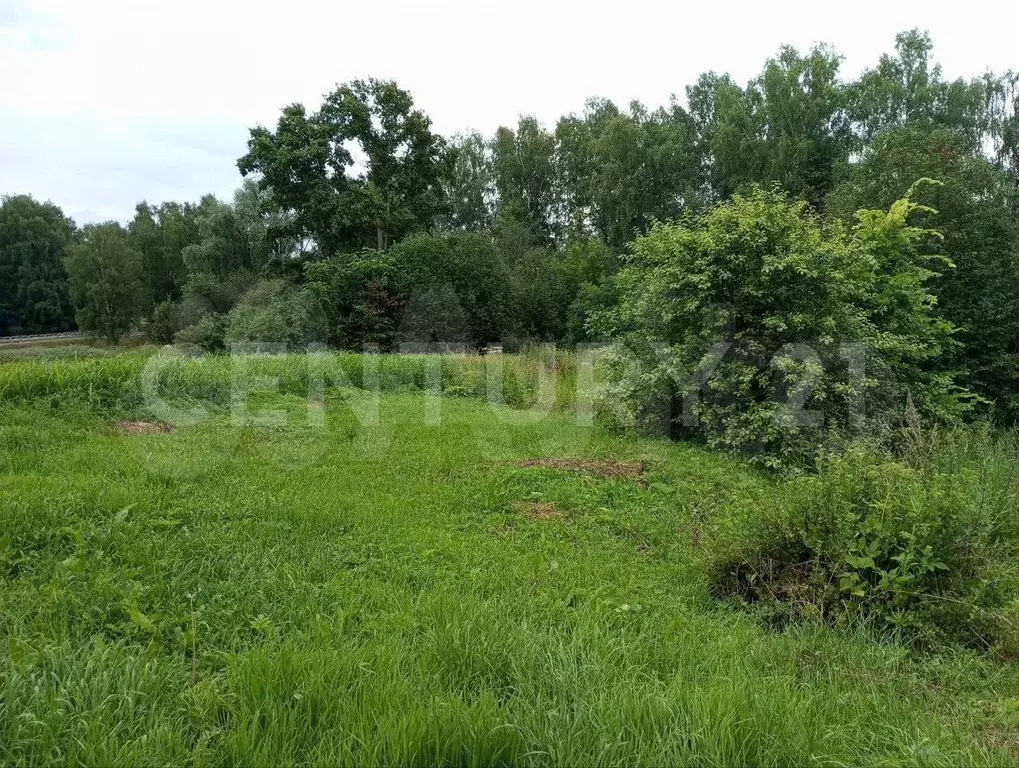 Дом 38 м на участке 30 сот. - Фото 1
