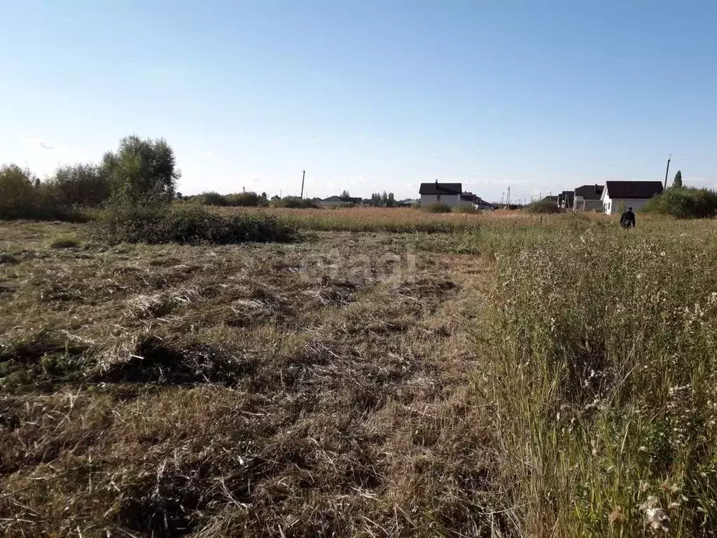 Участок в Воронежская область, Новоусманский район, с. Бабяково ... - Фото 0